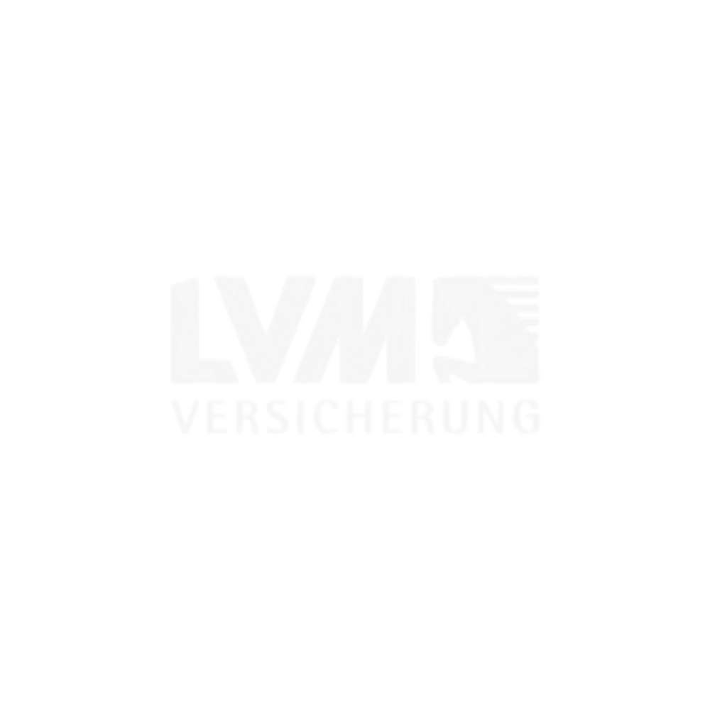 logo weiß LVM Versicherung