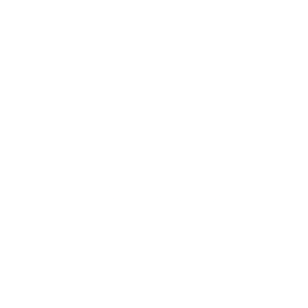 logo weiß roborock